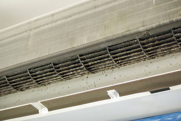 Best Affordable Duct Cleaning Services  in Bunker Hl, IL