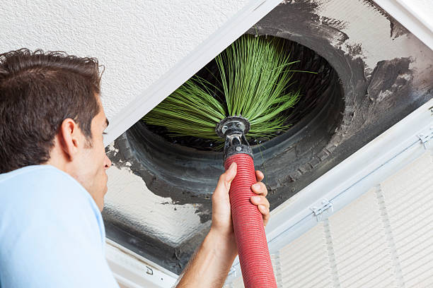 Best HVAC Air Duct Cleaning  in Bunker Hl, IL